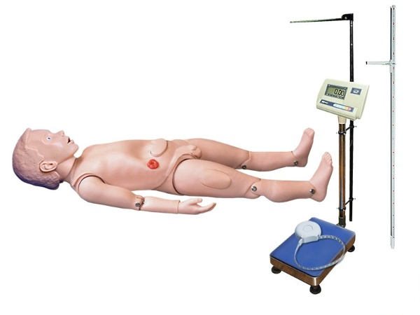 Simulator-dummy for a 3-year-old child for practicing care skills with the ability to determine indicators of physical development Zarnitza