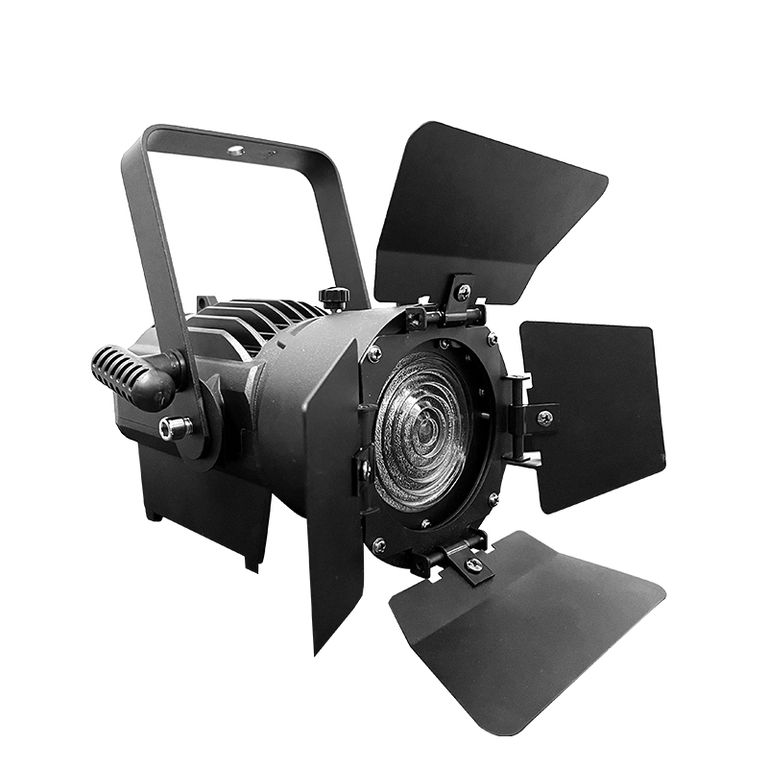 LED Fresnel Exell Lighting EXLFR100W