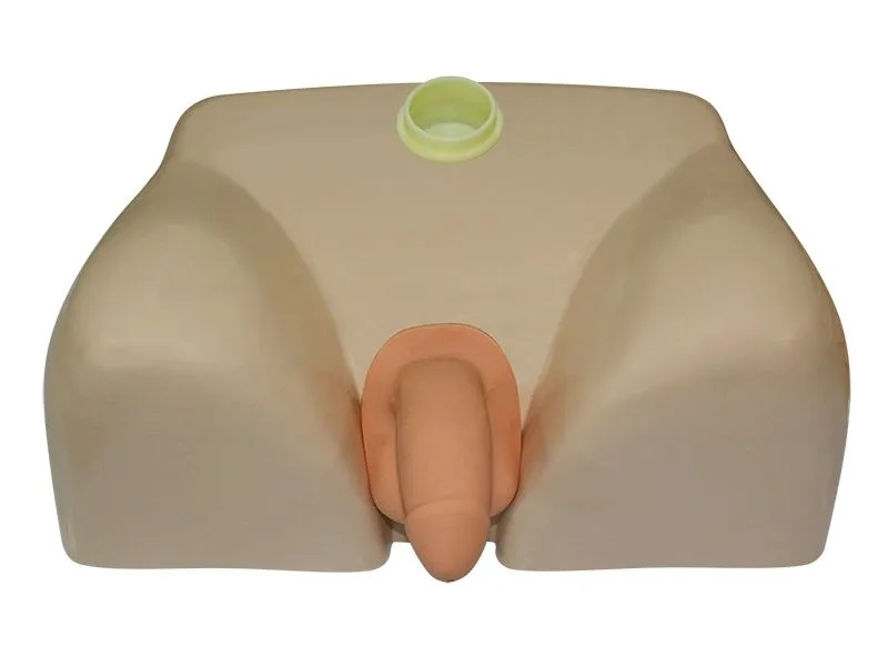 Bladder catheterization trainer (male) Zarnitza