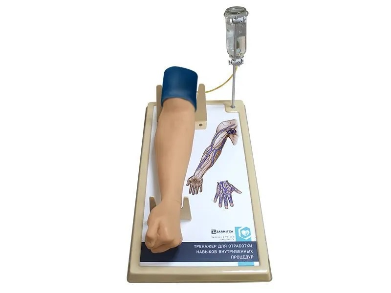 Simulator for practicing skills of intravenous procedures (elbow and hand access) Zarnitza