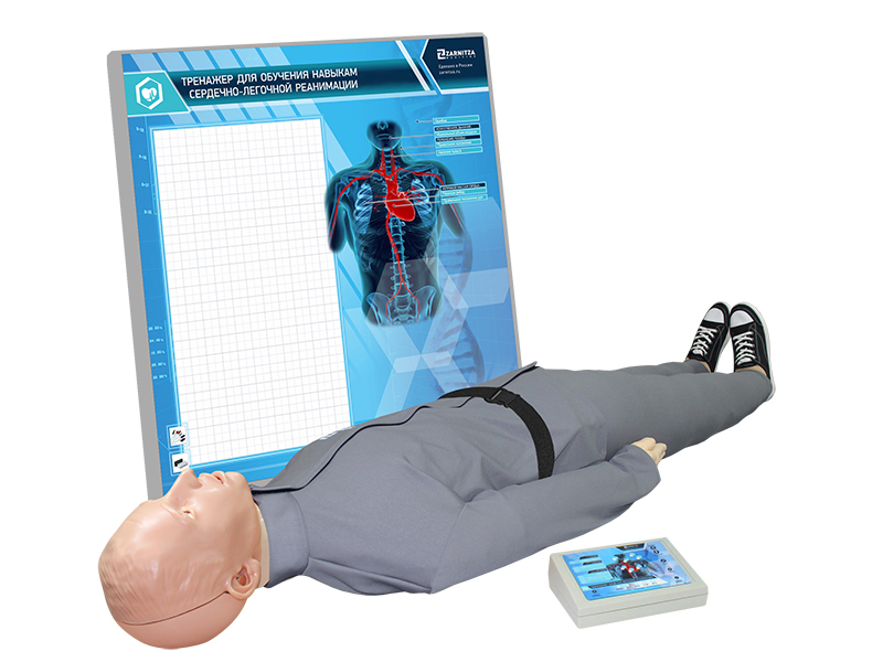 "Alexander M-08" simulator-dummy of an adult victim for practicing cardiopulmonary resuscitation techniques with a controller, wall display and light and sound indication (head, torso, limbs) Zarnitza