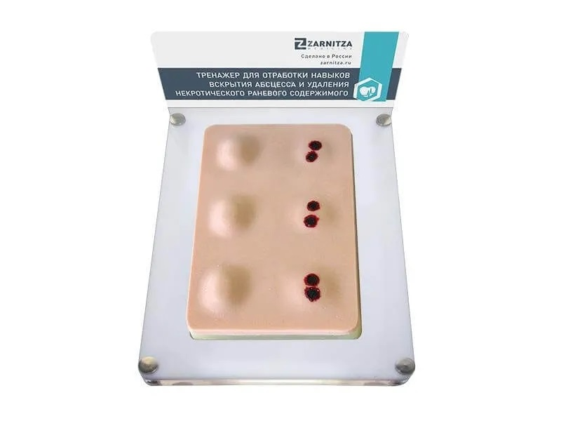 Simulator for practicing skills of opening an abscess and removing necrotic wound contents Zarnitza