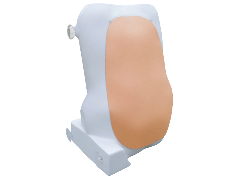 A set of replacement materials for the simulator for practicing spinal injection skills Zarnitza