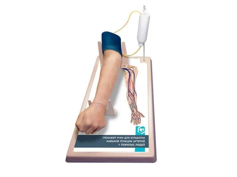 Arm simulator for practicing vein puncture skills in older people Zarnitza