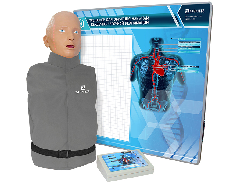 "Alexander M-07" simulator-dummy of an adult victim for practicing cardiopulmonary resuscitation techniques (head, torso) with a controller and a Zarnitza wall display