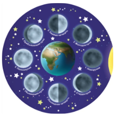 Moon phase module "Bear"