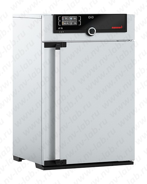 Incubator-thermostat IF75 (74 l, +5...+80 °C, forced convection)