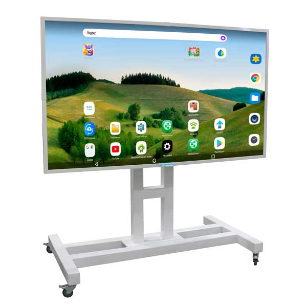 InterTouch 55 dyuymli IP-55 AS interaktiv paneli, mobil pol stendli