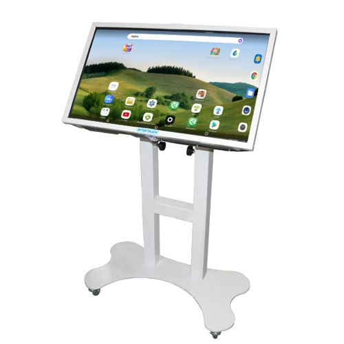 InterTouch 32 dyuymli IP-32 AS interaktiv paneli, mobil pol stendli