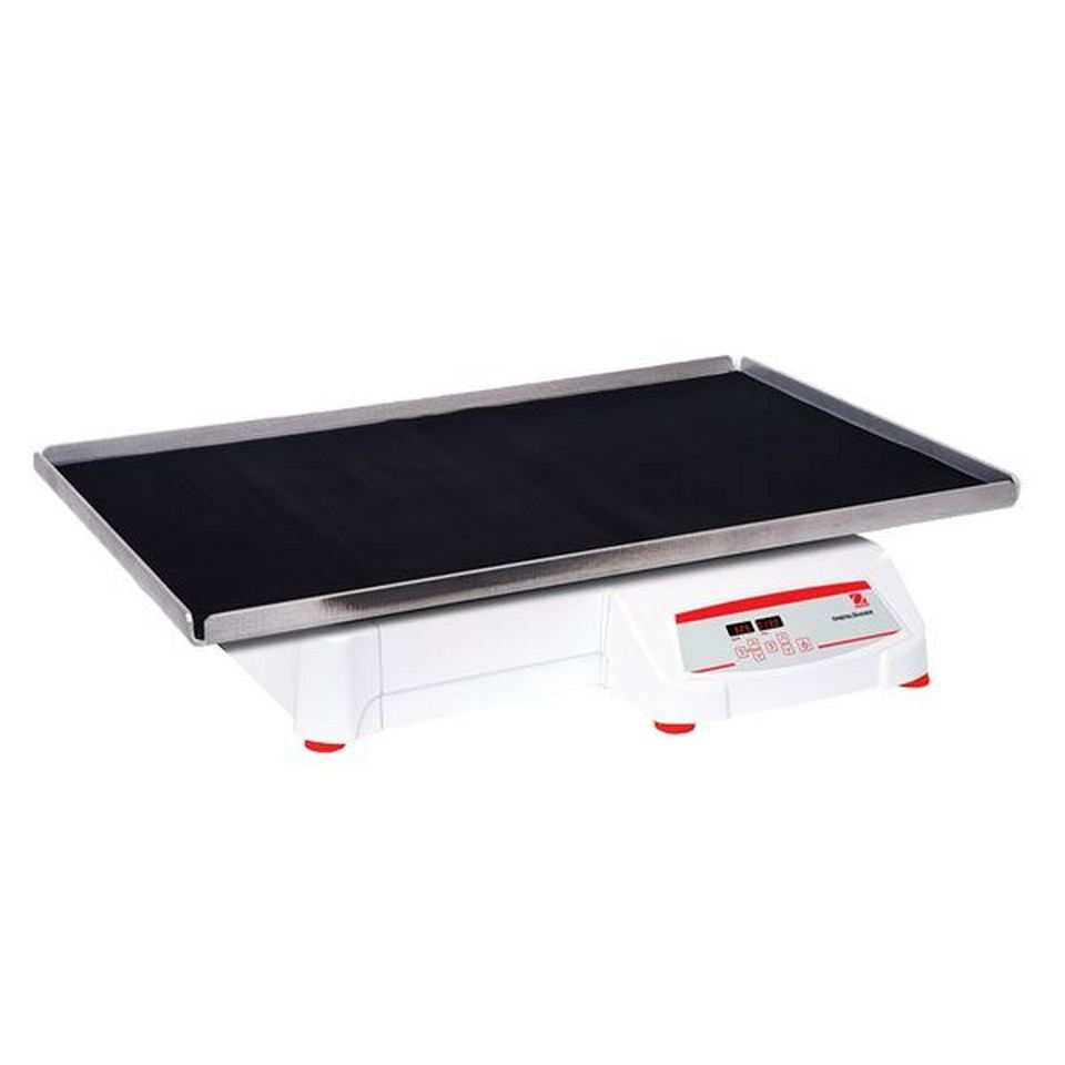Orbital shaker OHAUS SHHD6825DG (15-500 rpm, digital control)