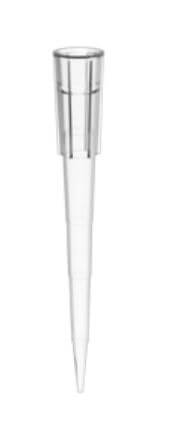 Universal tip 250 µl (loose, 1000 pcs/pack), Ecochem
