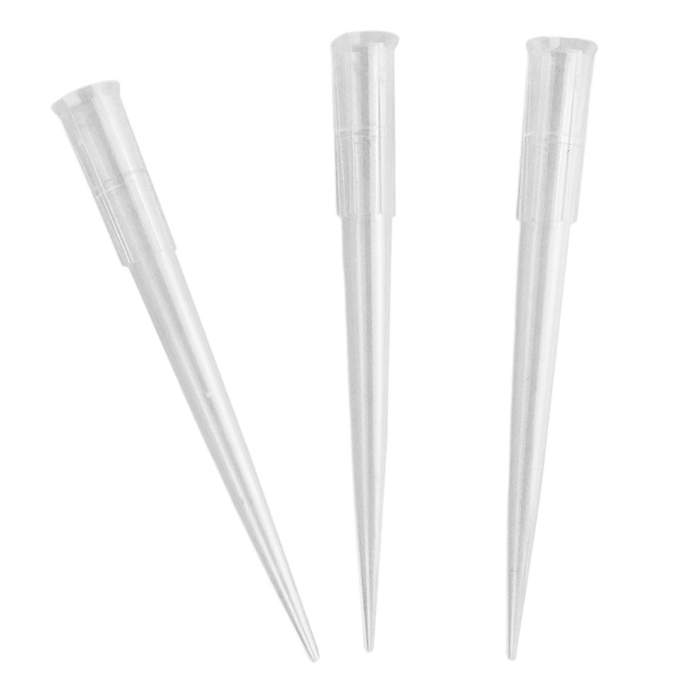 Pipette tip for Stegler PT300/1000 (300 µl, 1000 pcs, loose in bag)