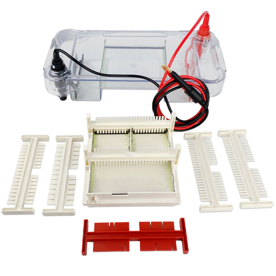 Biobase BK-HET02 chamber for horizontal electrophoresis
