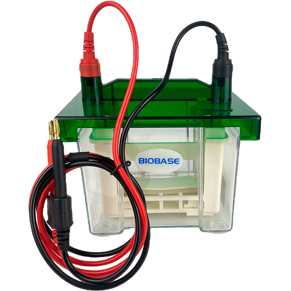 Camera Biobase BK-VET01 for vertical electrophoresis (up to 2 gels)