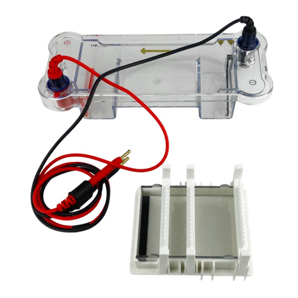 HE-70 chamber for horizontal electrophoresis