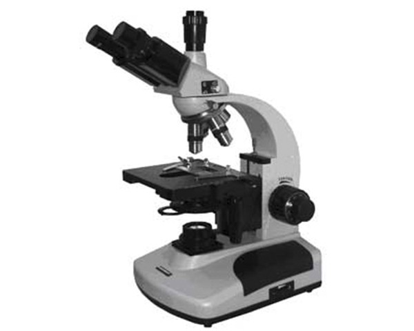 Biomed 6 T (Biomed 2, 1600x, trino-, dark, light field)