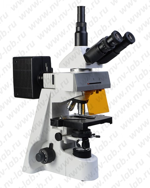 Microscope Mikromed-3 LUM (trinocular, luminescent)