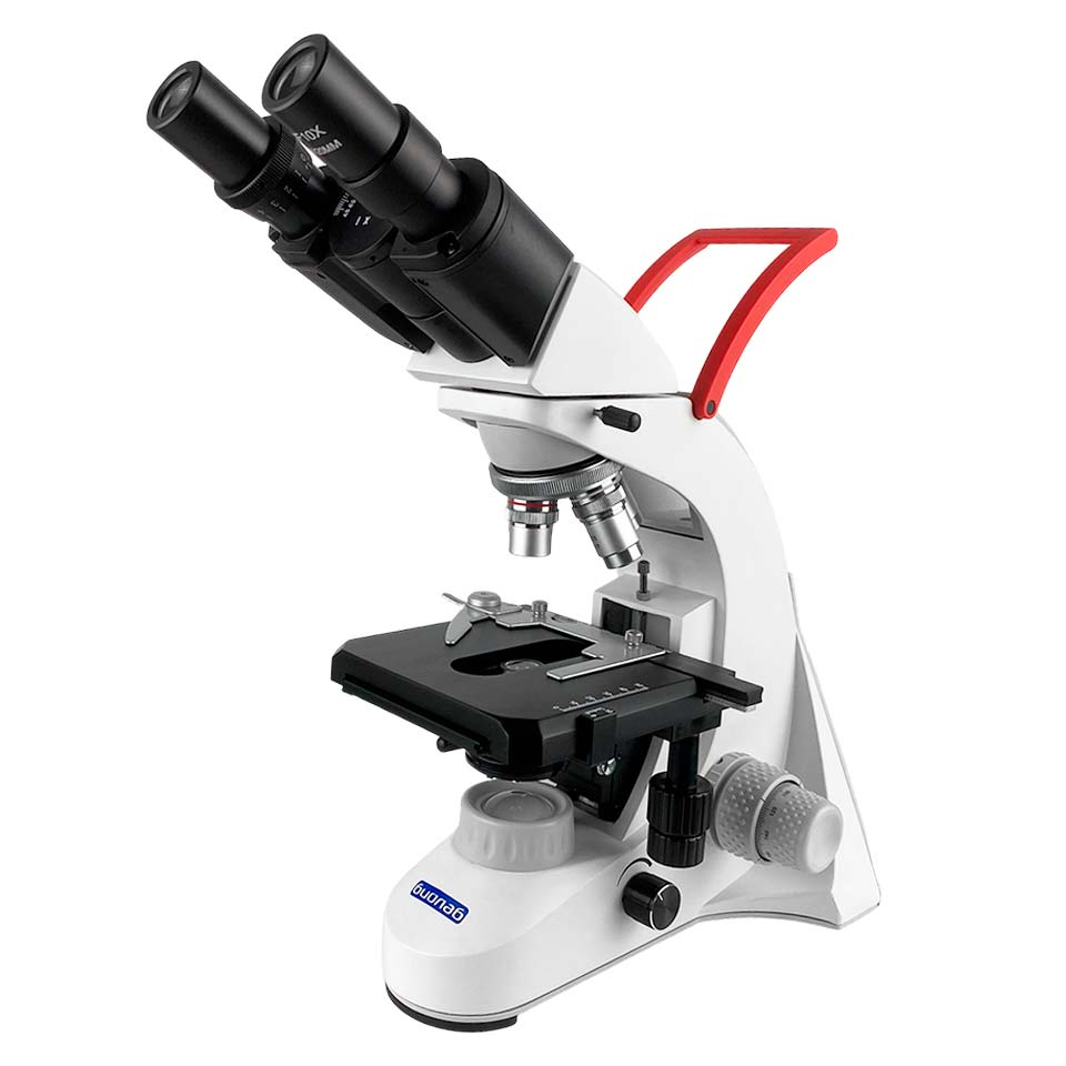 Microscope Biolab 5 (binocular)