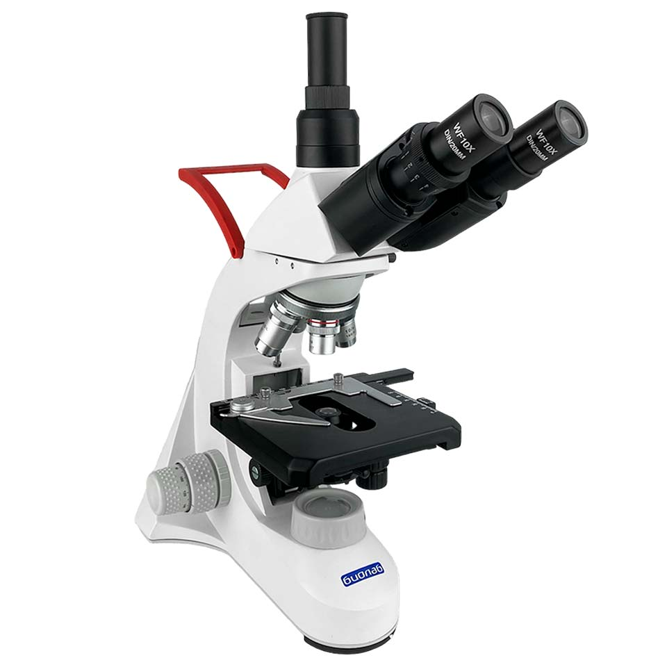 Microscope Biolab 5T (trinocular)