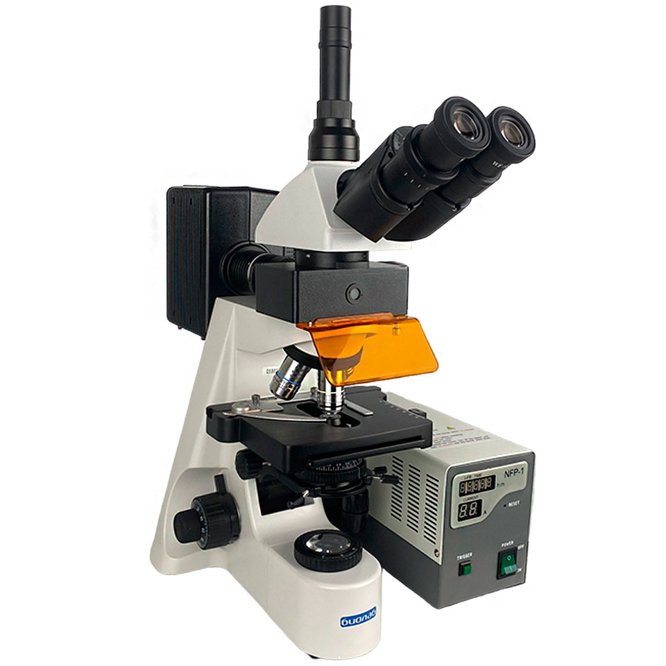 Luminescent microscope Biolab 12 LUM (trinocular, planachromatic)