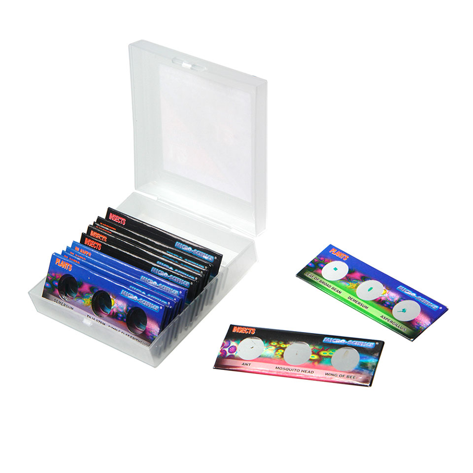 Microslides of 36 samples for preschool and primary school age.
