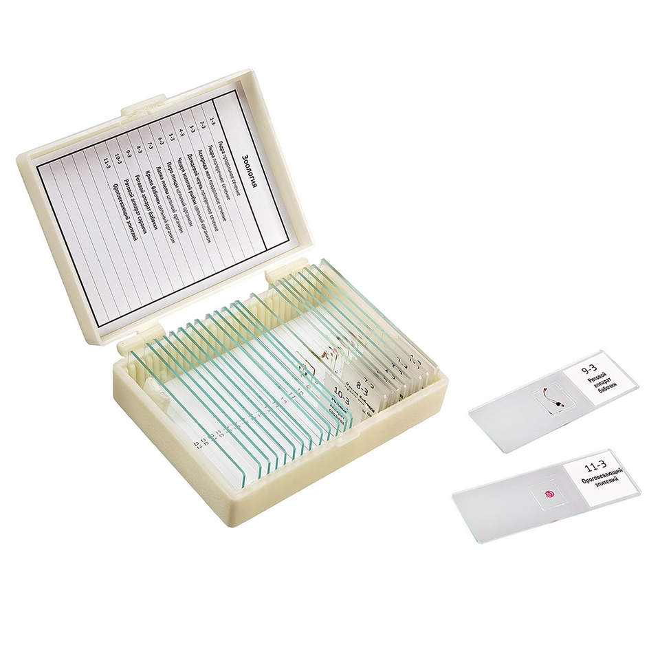 Set of drugs “Zoology” (11 samples for school)