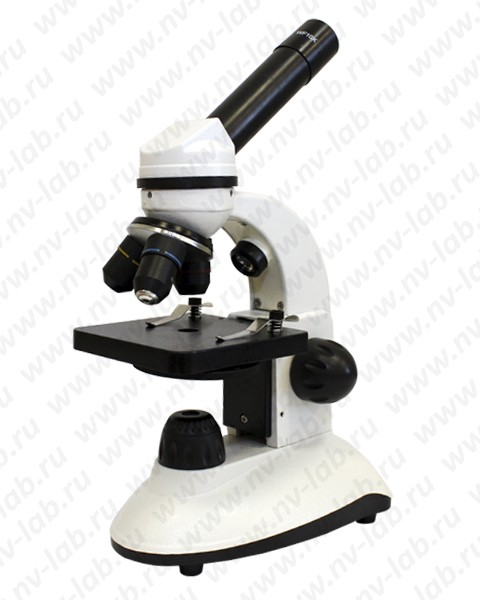 Microscope Dualscope (DUALSCOPE) (educational, up to 400x, 2 lights)
