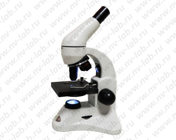 Microscope Duoscope-2 (400x, 2 backlights)