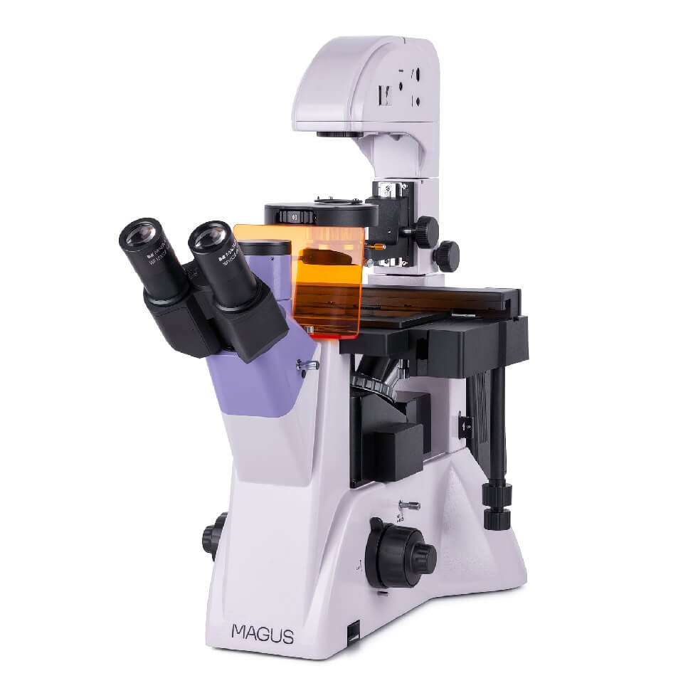 Microscope MAGUS Lum V500 luminescent inverted, art. 82908