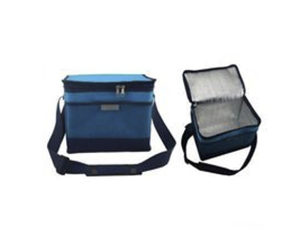 Thermal container-bag S1-3 (3 l, 0...+8°C, 4 cold elements, 340*185*27mm)