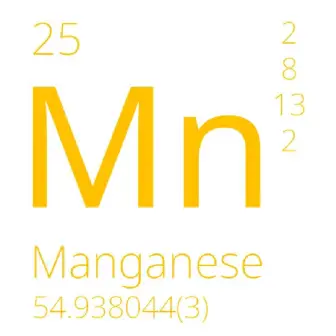 Test kit for express analysis ST-PHOTO Manganese for 100 measurements