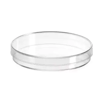 Glass Petri dish, Stegler