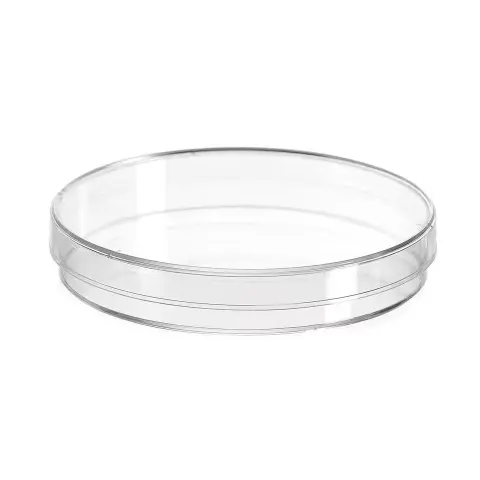 Glass Petri dish, Stegler