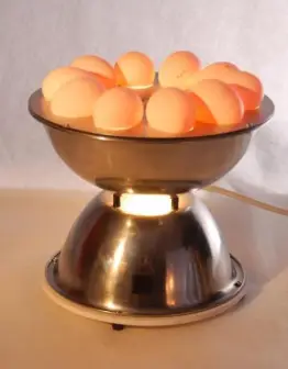 Device for determining the quality of eggs "Ovoskop Lux"
