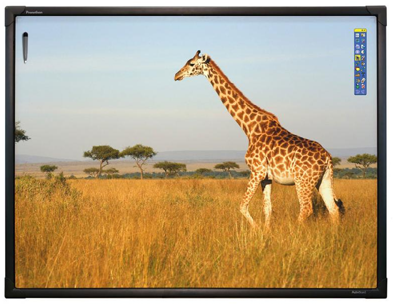 Интерактивная доска 78" ActivBoard Touch 10 касаний, ПО ActivInspire